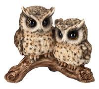 Pacific Giftware Figurine de hiboux - Bébé hiboux sur AST - Statue d'oiseau de 17 cm
