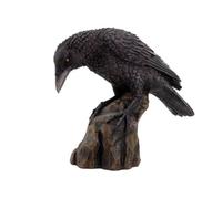 Pacific Giftware Figurine en résine Peinte à la Main Corbeau Noir sur rochers