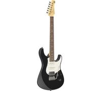 Pacifica Professional Pacp12-Bm Rw Black Metallic