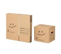 Pack 10 cartons à livres avec poignées