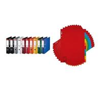 Pack 10 classeurs à levier Esselte Standard | Capacité 550 feuilles | Dos 75 mm | Assorti | + Lot 10 intercalaires A4 | 11 trous | Carton 160 g/m² | Couleurs assorties