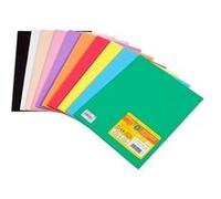 Pack 10 feuilles gomme eva 225x300 mm assortiment G