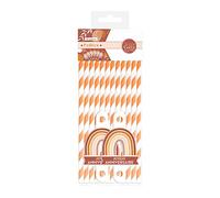 Pack 12 pailles terracotta