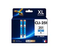 Pack 2 Cartouche CLI-251XL compatible pour Canon 250 251 Cyan Haute capacité avec puce Rendement 12 ml