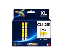 Pack 2 Cartouche CLI-251XL compatible pour Canon 250 251 Jaune Haute capacité avec puce Rendement 12 ml