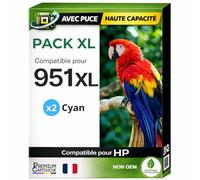 Pack 2 Cartouche Encre 951XL 951XL 951 XL CN046AE CN050AE Compatible pour HP 251DW 276DW 8100 8600 8600 8610 8615 8616 8620 8625 8630 8640 8660 Cyan Haute capacité avec Puce 26 ML
