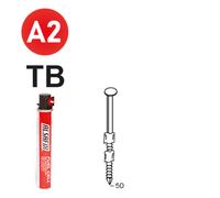 PACK 20° 2,9 X 50 ANNELÉE INOX TB - 2200 POINTES + 2 GAZ - ALSAFIX - P2029508