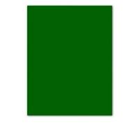Pack 25 Feuilles Carton Iris 50x65 185g Billard Vert Canson C200040238