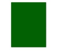 Pack 25 Feuilles Carton Iris 50x65 185g Billard Vert Canson C200040238