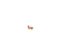 APLI – Apli kids 11913 – Rouleaux de gommettes – Lot de 4 XL, assorties marron/rose/mauve/orange