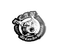 PACK AUTOCOLLANTS Stickers All Cats Are Beautiful acab anarchist antifa découpé à la forme vinyle resistant eau et UV qualité 8x9cm 1312