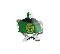 PACK AUTOCOLLANTS Stickers Supporter Ultra Hooligan Saint Etienne Résistant Uv Eau Drapeau Bâche Ville Football Cagoulé Club Vert Blanc Pour Ordinateur Bouteille et Voiture Déco exterieur 8cm