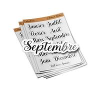 PACK AUTOCOLLANTS STICKERS Vinyle Feuille Mois de l’Année Calligraphiés Pour Calendrier, Bullet Journal, Planificateur 12 Mois Annuel Pour Ordinateur Bouteille et Voiture Déco exterieur 14cm