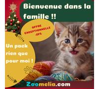 Pack Bienvenue Chaton - Kit Complet Arrivée Chaton | 11 Essentiels