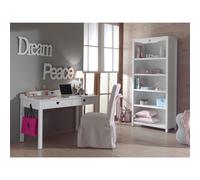 Bureau et bibliotheque Amori