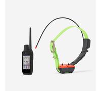Pack collier + télécommande de repérage/dressage chien garmin alpha 300 tt25