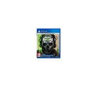Call of Duty: Modern Warfare II (PlayStation 4)
