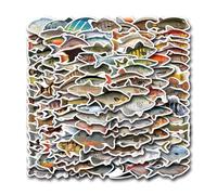 Pack D'autocollants De Pêche - Décalcomanies En Vinyle Imperméables, Art Thème Du Pêcheur | Autocollants De Truite De Basse De La Rivière, Ensemble De Décoration De Vitesses À Poisson, Kit D'étiquette