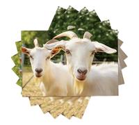 Pack de 2 Table Animaux ruraux en Coton et Lin, Set de décoration de Table 30×45cm pour événements, Mariage, Anniversaire, dîner, café, Cuisine, (Chèvre Blanche)