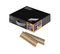 Pack de 2200 pointes crantées électro-zinguées 33° DEWALT DNPT28R