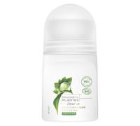 Pack De 3 - Dove Bille Bio Pouvoir Des Plantes Arbre À Thé Eco-Spray 50ml