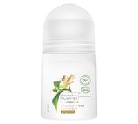 Pack De 3 - Dove Bille Bio Pouvoir Des Plantes Gingembre Eco-Spray 50ml