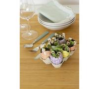 Pack de 6 oeufs cassés waterproof - Kraft