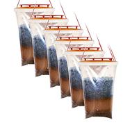 Pack de 6 pièges à mouches Tusk - RedTop