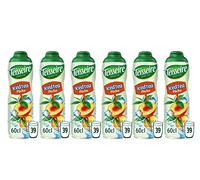 Pack de 6 sirops iced tea pêche 6x60cl