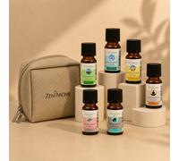 Pack de 6 synergies prêtes à diffuser + trousse offerte