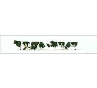 PREISER PREISER 10145 - Vaches noires et blanches - HO 1/87