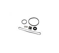 Hayward - Pack de Joints pour Pompe de Filtration de Piscine Max Flo - SPX1800GS
