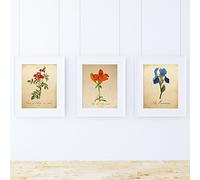 Pack de láminas MI JARDÍN AZUL. Tres láminas tamaño A4. Posters con imágenes de botánica. Decoración de hogar. Láminas para enmarcar. Papel 250 gramos alta calidad