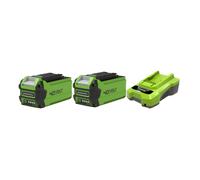Pack GREENWORKS 40V - 2 batteries 2 0Ah Lithium-ion - 1 Chargeur