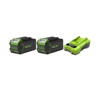 Pack GREENWORKS 40V - 2 batteries 4,0Ah Lithium-ion - 1 Chargeur