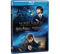 Pack Harry Potter 1 + Fantastic Beasts (DÚO HARRY POTTER 1 + ANIMÁLES FANTÁSTICOS, Importé d'Espagne, langues sur les détails)