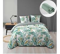 Pack housse de couette 240 X 220 cm microfibre Louna + dh 140 x 190 Sauge