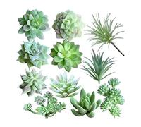 Pack of 11 Artificial Succulents, Artificial Flocked Plants, Plastic Succulent Unpotted Flocking Plant for Home Indoor Fairy Garden Decorations Plastic Succulents