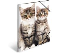 Pack Of 3 A3 Document Folders Sturdy Plastic For Children With Inner Print And Elastic Band