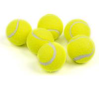 Pack of 6 Tennis Balls 5 cm for Dogs-Compatible with Automatic Launchers (Balls 5.5 cm (Lance-Mini))
