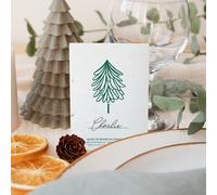 Pack sapin • 8 sachets de graines