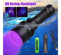 Package B Lampe de poche de plongée UV étanche, lumière violette, lanterne ultraviolette sous-marine, 395nm ""Nipseyteko