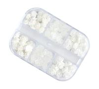 PACKOVE 1 Jeu Décorations Ongles Résine Charms Pour Manucure Diy Boîtes Avec Compartiments Accessoires Élégants Pour Ongles 2 Boîtes