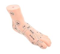 PACKOVE 1Pc Modèle De Pied Modèle De Pied Modèle D'Enseignement Du Point D'Acupuncture Du Pied Modèle De Point D'Acupuncture Du Pied Unique Modèle De Massage Des Pieds Modèle