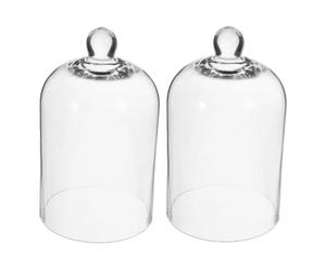 PACKOVE 2pcs Couvercle de Dôme de Verre pour Fleurs Préservées, Protection Décorative en Verre Délicat, Usage Polyvalent pour Lampe LED et Étagère