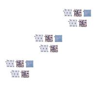 PACKOVE 3 ensembles De Rangement Pour Serviettes Hygiéniques Pour Serviettes Hygiéniques Menstruelles À Couches De Toilette Petite Pochette De 5 pièces * 3