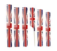 PACKOVE 6pièces Peigne à Dents Fines Et Épaisses Pour Coiffeur Peigne De Coiffure à Double Extrémité Pratique Et Facile à Utiliser