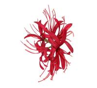 PACKOVE Barrette Fleur Rouge Style Champêtre Pour Filles Pince Cheveux Mignonne Et Accessoire Coiffure Adorable Pour Soirées Et Usage Quotidien