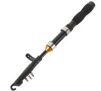 PACKOVE Canne à Pêche Miniature Ultra-Courte 1,0 M Noire Moulinet Canne de Mer Compacte et Résistante Accessoire de Pêche Portable sur Glace Extérieur