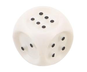 PACKOVE Dés Tactiles en Plastique Blanc pour Jeux D'aveugles avec Points en Relief, Interaction Sociale Améliorée, Adaptés aux Activités Intérieures et Extérieures